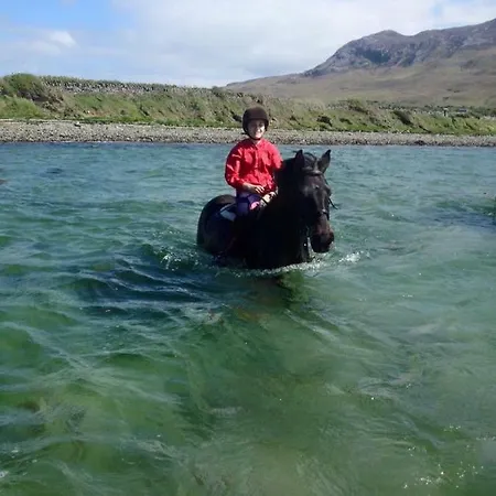 Reek View - Two Bedroom Apartment