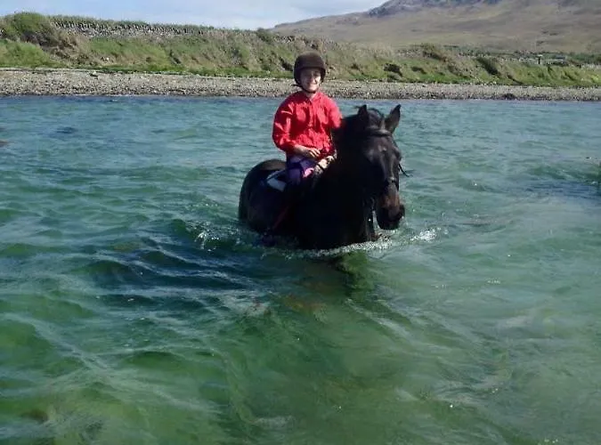 Reek View - Two Bedroom Apartment